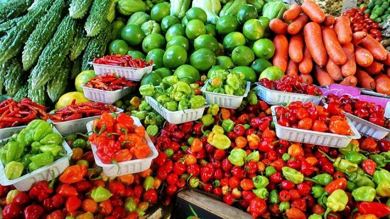 primeur-MANDELIEU LA NAPOULE-min_farmers-market-1329008