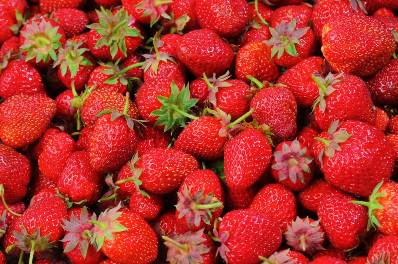 primeur-MANDELIEU LA NAPOULE-min_strawberries-528791